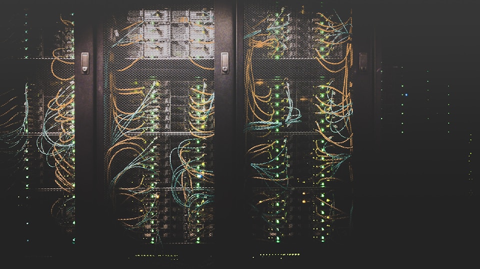 Network patch cables organized in a server rack with structured cable management.